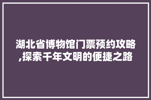 湖北省博物馆门票预约攻略,探索千年文明的便捷之路
