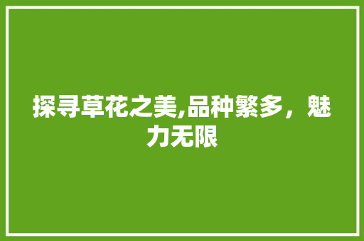 探寻草花之美,品种繁多，魅力无限