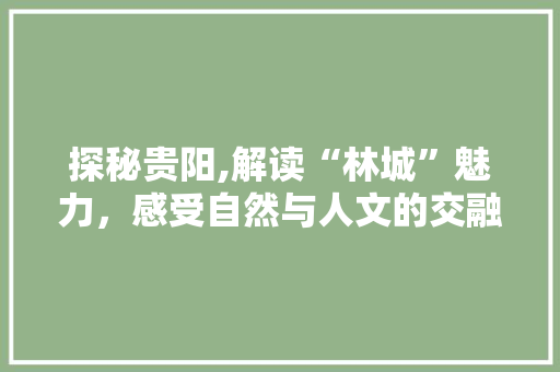探秘贵阳,解读“林城”魅力，感受自然与人文的交融 旅行资讯