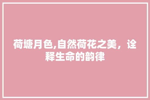 荷塘月色,自然荷花之美，诠释生命的韵律 生活指南