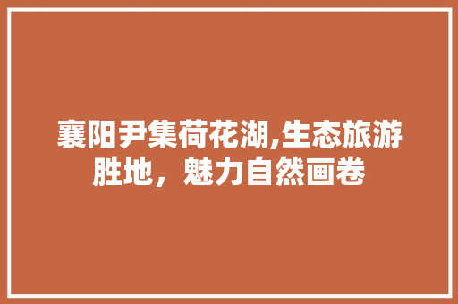 襄阳尹集荷花湖,生态旅游胜地，魅力自然画卷 家居窍门