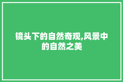 镜头下的自然奇观,风景中的自然之美 生活指南