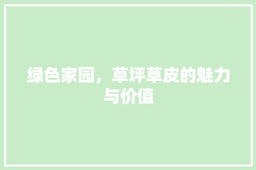 绿色家园，草坪草皮的魅力与价值 美食推荐