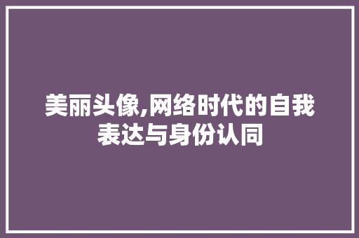 美丽头像,网络时代的自我表达与身份认同 生活指南