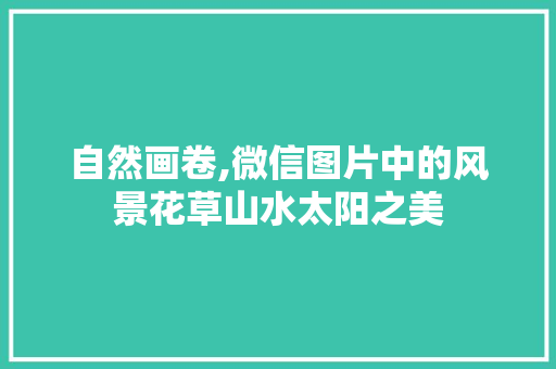 自然画卷,微信图片中的风景花草山水太阳之美 旅行资讯