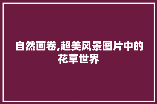 自然画卷,超美风景图片中的花草世界 家居窍门