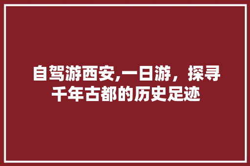 自驾游西安,一日游，探寻千年古都的历史足迹 生活指南