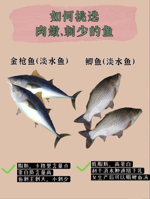 吃什么鱼最不容易卡刺,防范钓鱼 旅行资讯 吃什么鱼最不容易卡刺,防范钓鱼 吃什么鱼最不容易卡刺,防范钓鱼 旅行资讯