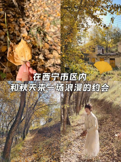西宁和妹子约会去哪里,约定的地方攻略 旅行资讯 西宁和妹子约会去哪里,约定的地方攻略 西宁和妹子约会去哪里,约定的地方攻略 旅行资讯