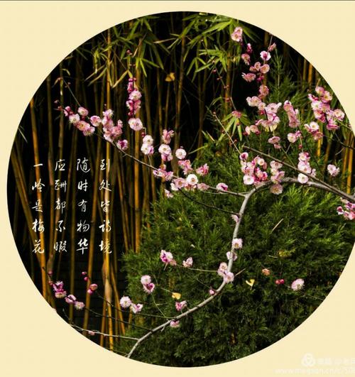 将诗词还原成摄影作品,“朵朵桃花粉粉嫩,棵棵梨树片片白”怎么拍,甘肃特色美食简笔画图片 旅行资讯 将诗词还原成摄影作品,“朵朵桃花粉粉嫩,棵棵梨树片片白”怎么拍,甘肃特色美食简笔画图片 将诗词还原成摄影作品,“朵朵桃花粉粉嫩,棵棵梨树片片白”怎么拍,甘肃特色美食简笔画图片 旅行资讯