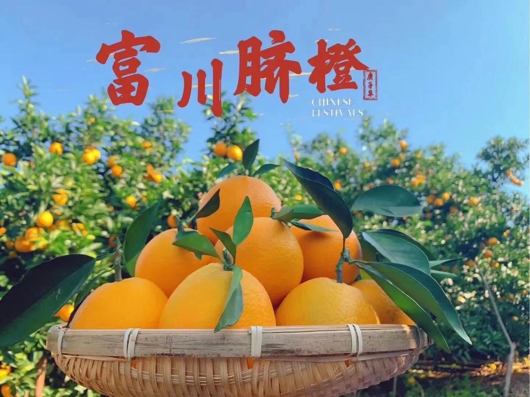 富川分别有那几特产,富川特色美食 生活指南 富川分别有那几特产,富川特色美食 富川分别有那几特产,富川特色美食 生活指南